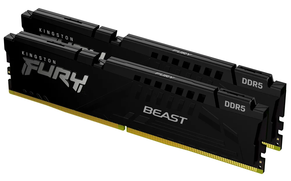 Kingston Beast