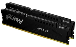 Kingston Beast