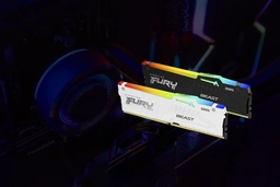 Kingston Beast RGB — image 6