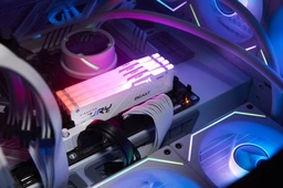 Kingston Beast RGB — image 8