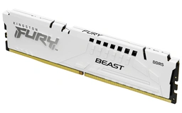 Kingston Beast