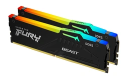 Kingston Beast RGB
