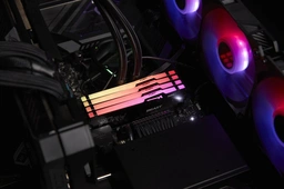 Kingston Beast RGB — image 8
