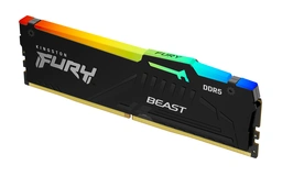 Kingston Beast RGB
