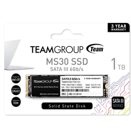 TEAMGROUP MS30 1 TB M.2-2280 SATA Solid State Drive