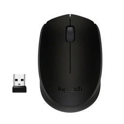 Logitech M170