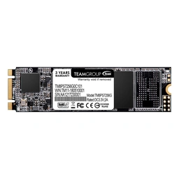 TEAMGROUP MS30 256 GB M.2-2280 SATA Solid State Drive